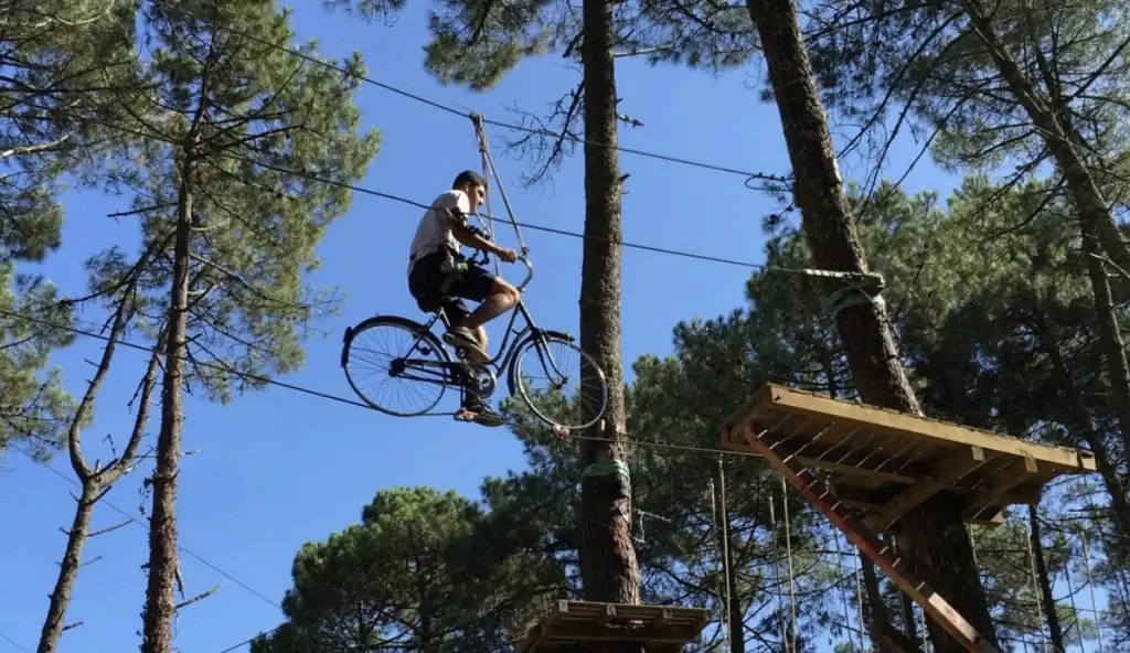 Accrobranche à Moliet avec Adrénaline parc