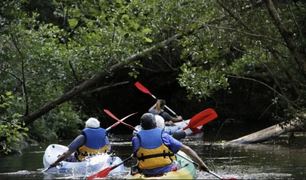 Activités Nautiques Canoë