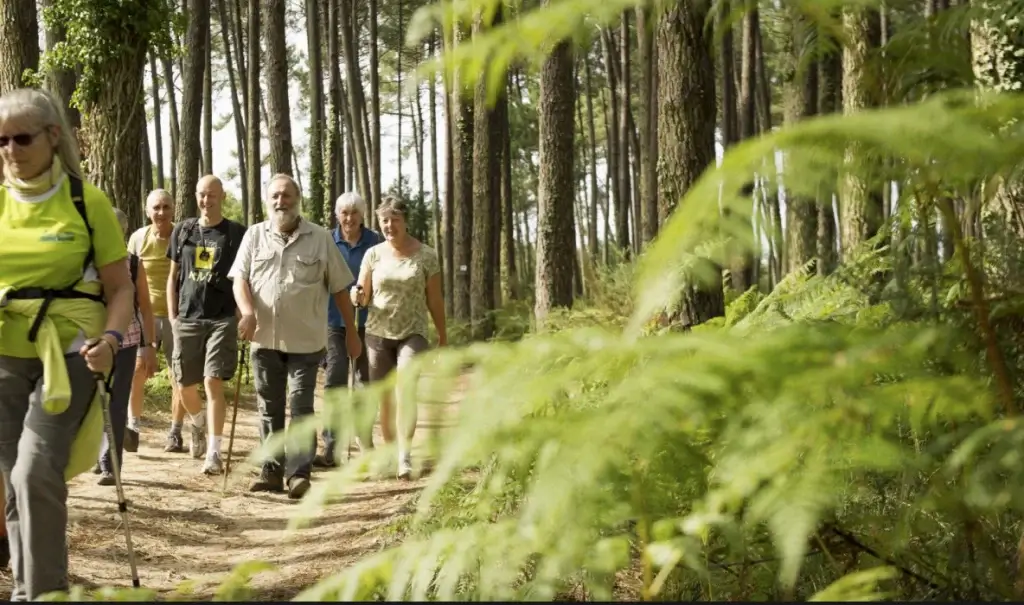 Balade et randonnées en forêt dans les Landes