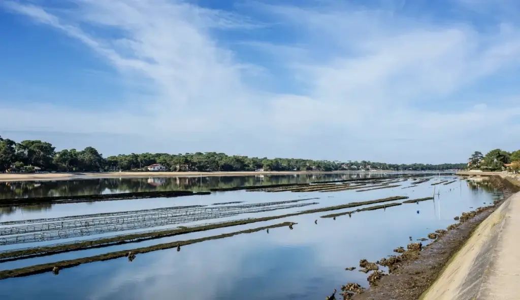 Lac Hossegor